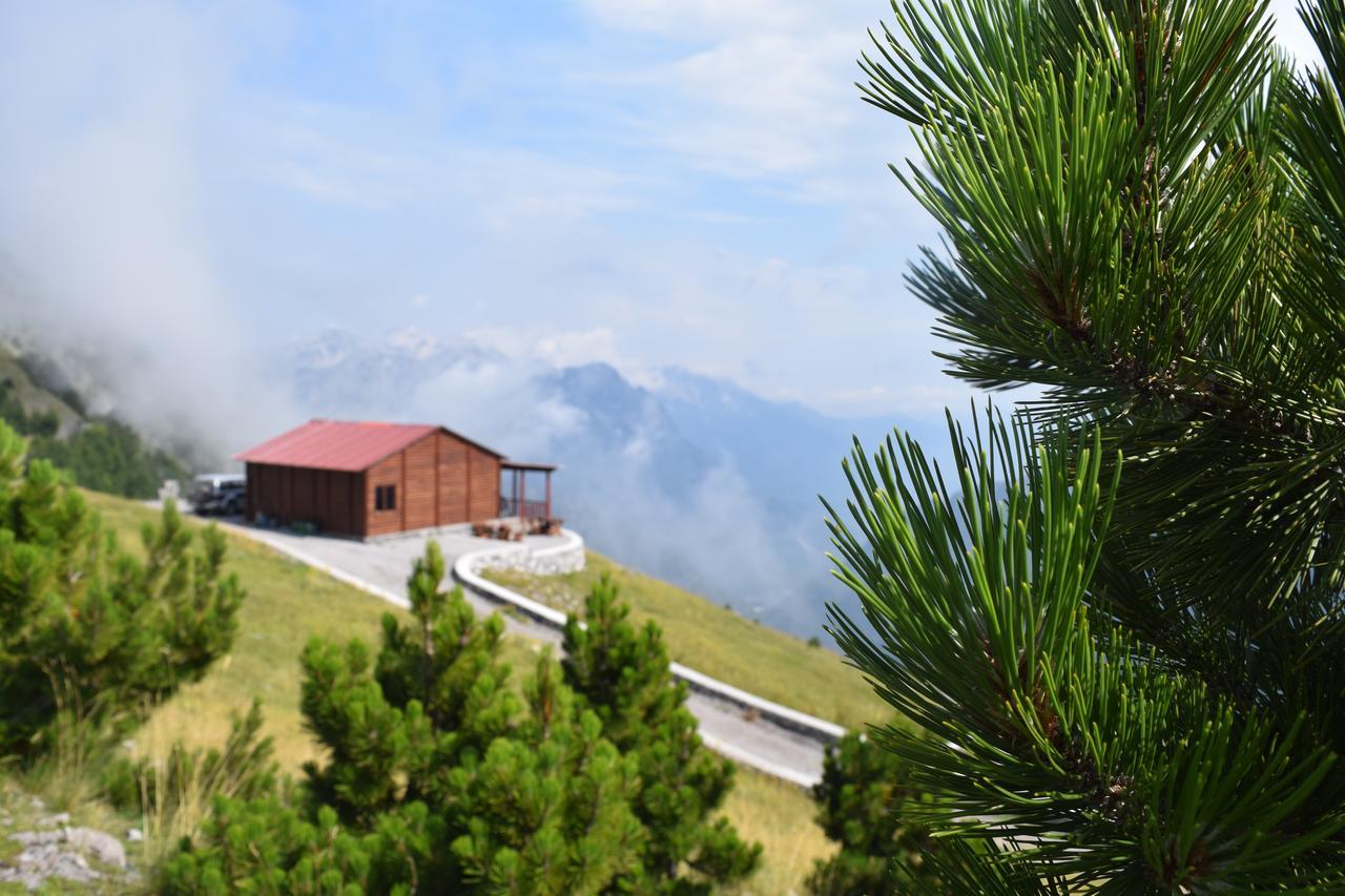 Buni I Bajraktarit Albergue